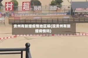 贵州有新增疫情地区嘛(现贵州有新增病情吗)