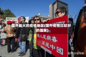 国外最火的疫情地区(国外疫情比较好的国家)