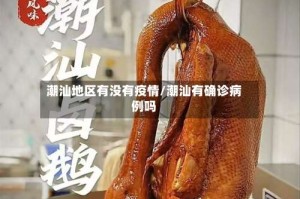 潮汕地区有没有疫情/潮汕有确诊病例吗