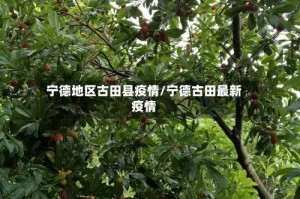 宁德地区古田县疫情/宁德古田最新疫情