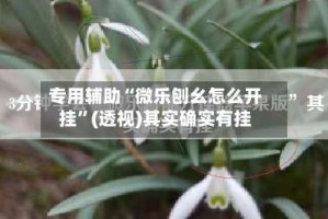 专用辅助“微乐刨幺怎么开挂”(透视)其实确实有挂