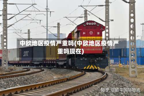 中欧地区疫情严重吗(中欧地区疫情严重吗现在)-第2张图片