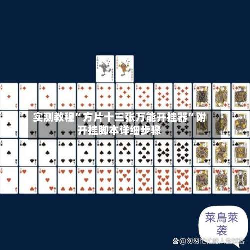 实测教程”方片十三张万能开挂器	”附开挂脚本详细步骤-第2张图片