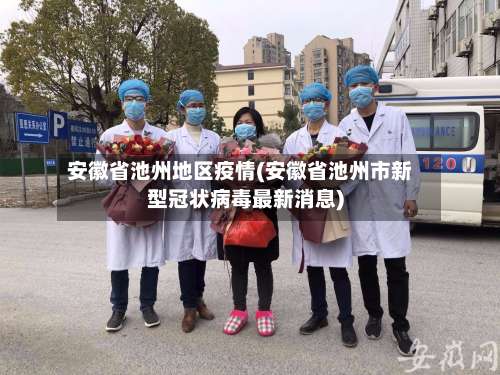 安徽省池州地区疫情(安徽省池州市新型冠状病毒最新消息)-第2张图片