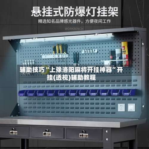 辅助技巧“上豫洛阳麻将开挂神器”开挂(透视)辅助教程-第2张图片