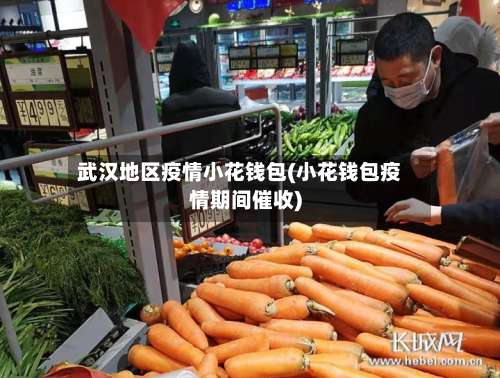 武汉地区疫情小花钱包(小花钱包疫情期间催收)-第3张图片