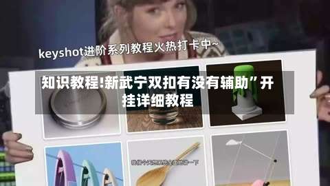 知识教程!新武宁双扣有没有辅助”开挂详细教程-第2张图片