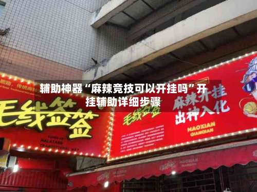 辅助神器“麻辣竞技可以开挂吗”开挂辅助详细步骤-第3张图片