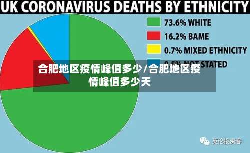 合肥地区疫情峰值多少/合肥地区疫情峰值多少天-第1张图片