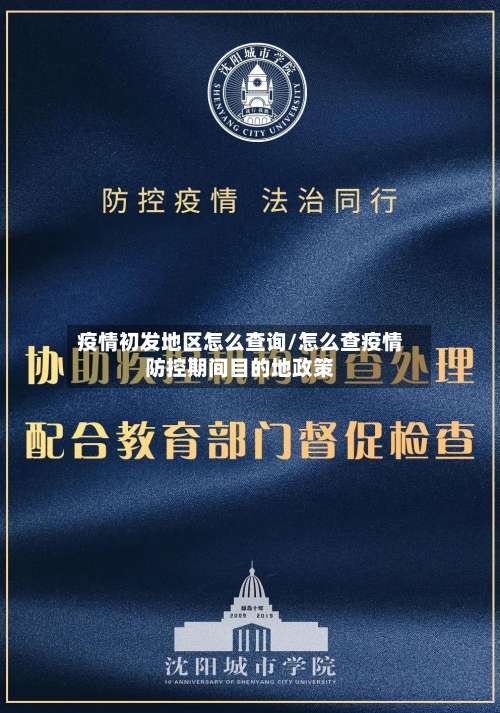 疫情初发地区怎么查询/怎么查疫情防控期间目的地政策-第1张图片