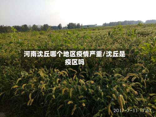 河南沈丘哪个地区疫情严重/沈丘是疫区吗-第2张图片
