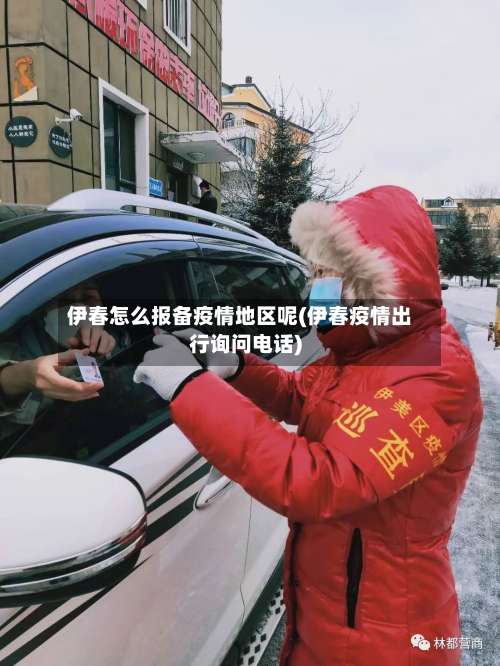 伊春怎么报备疫情地区呢(伊春疫情出行询问电话)-第1张图片