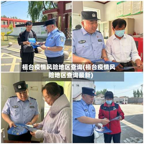 桓台疫情风险地区查询(桓台疫情风险地区查询最新)-第2张图片