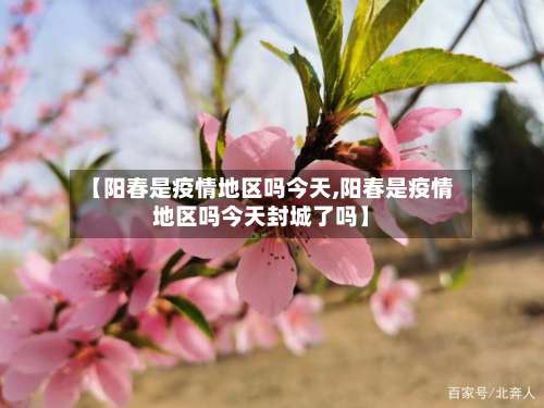 【阳春是疫情地区吗今天,阳春是疫情地区吗今天封城了吗】-第3张图片