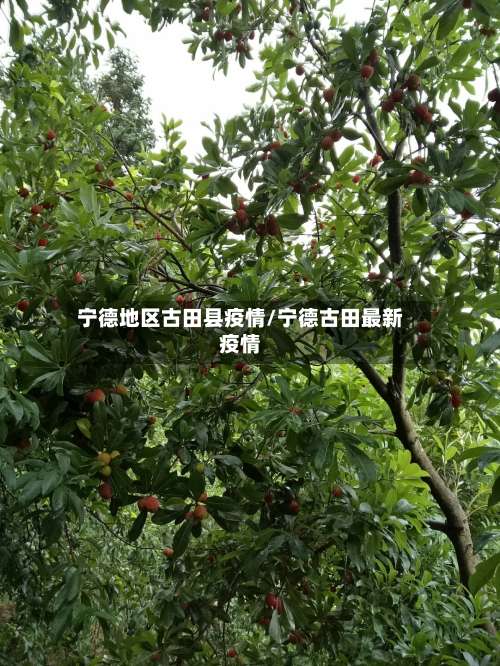 宁德地区古田县疫情/宁德古田最新疫情-第1张图片