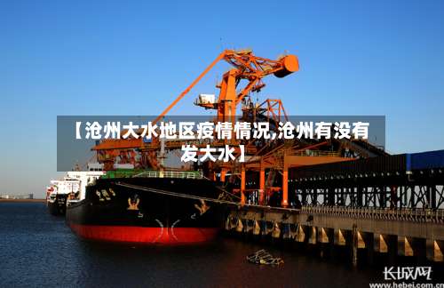 【沧州大水地区疫情情况,沧州有没有发大水】-第1张图片