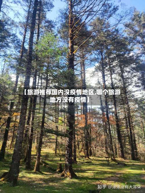 【旅游推荐国内没疫情地区,哪个旅游地方没有疫情】-第1张图片